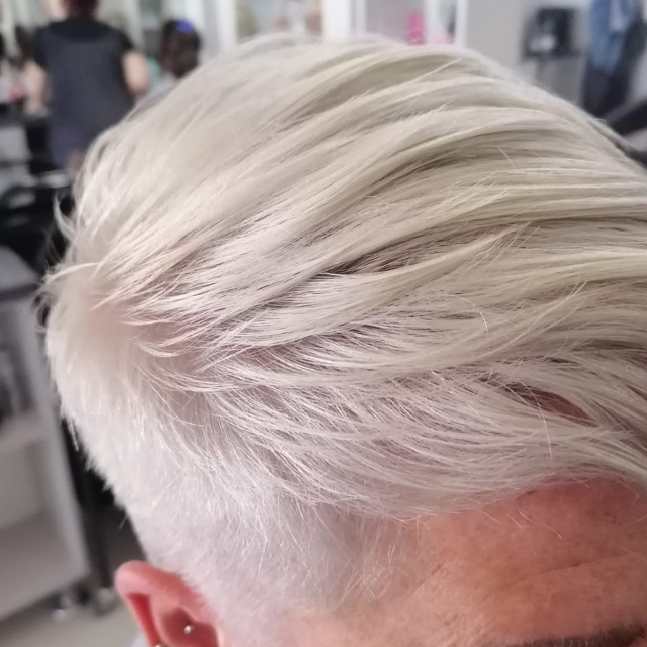 _0000_IMG-20231111-WA0001